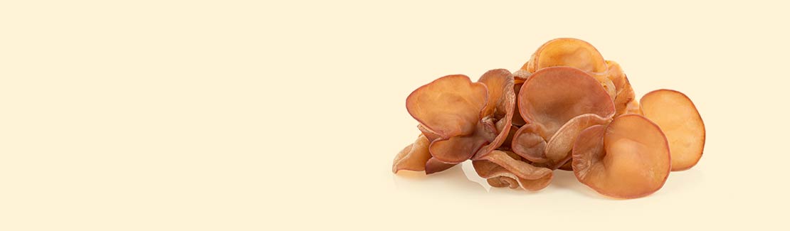 Auricularia