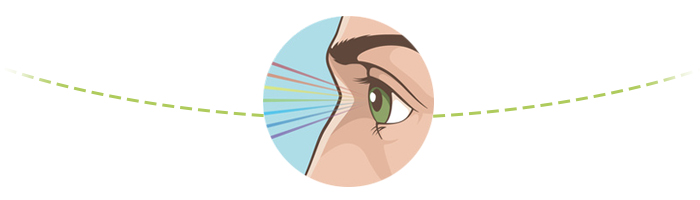 Augen