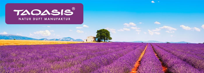Taoasis GmbH