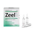 ZEEL comp.N Ampullen