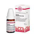 FERRUM PHOSPHORICUM C 30 Globuli