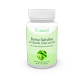 BURMA Spirulina m.Chlorella Selen+Zink Tabletten