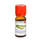 LEMONGRASÖL ProFuma Caelo HV-Packung