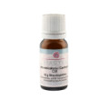 LYTTA vesicatoria Cantharis C 30 Globuli