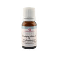 SYMPHYTUM OFFICINALE D 4 Globuli