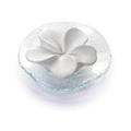 DUFTSTEIN Frangipani Glasteller transparent