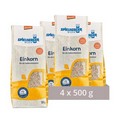 Spielberger Einkorn