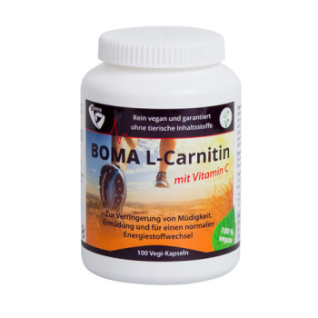 L-CARNITIN 500 Kapseln