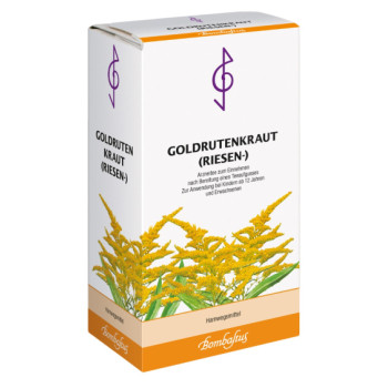 GOLDRUTENKRAUT Riesen Tee