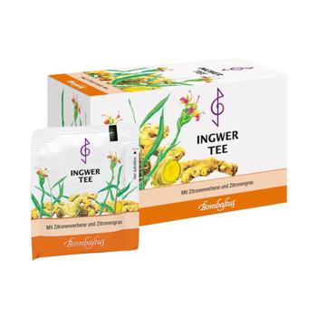 INGWER TEE Filterbeutel