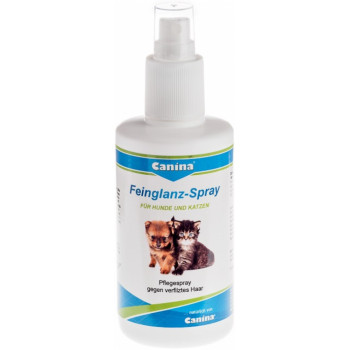 FEINGLANZ-SPRAY vet.