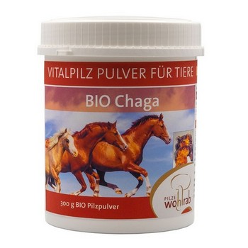 CHAGA BIO Vitalpilz Pulver für Tiere
