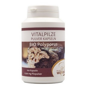 POLYPORUS BIO Vitalpilz Pulverkapseln