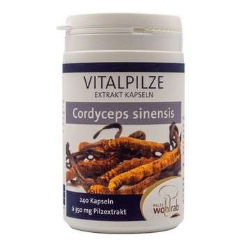 CORDYCEPS SINENSIS Extrakt Konventionell Kapseln