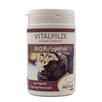 POLYPORUS BIO Extrakt Kapseln
