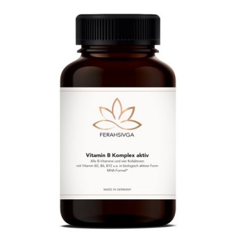 VITAMIN B KOMPLEX aktiv m.8 Vit.& 4 Cofaktoren Kps